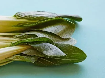 Vegetables / ผัก