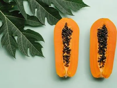 Fruits & Trees / ผลไม้และต้นไม้