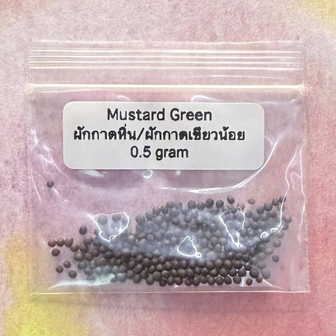 Mustard Green (Small) / ผักกาดหิ่น, ผักกาดเขียวน้อย