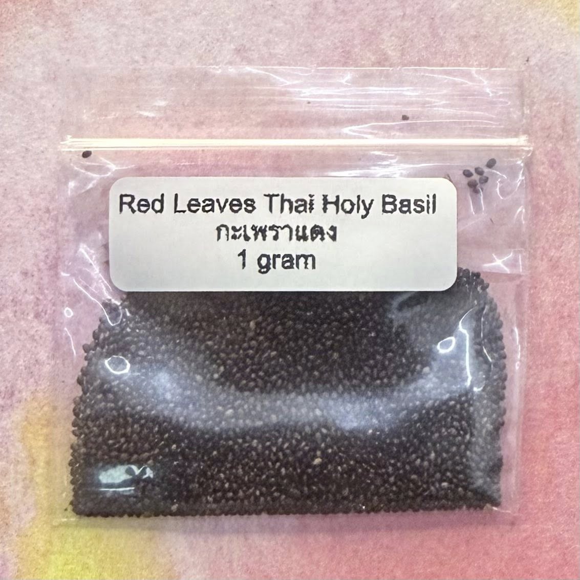 Red Leaves Holy Basil / กะเพราแดง