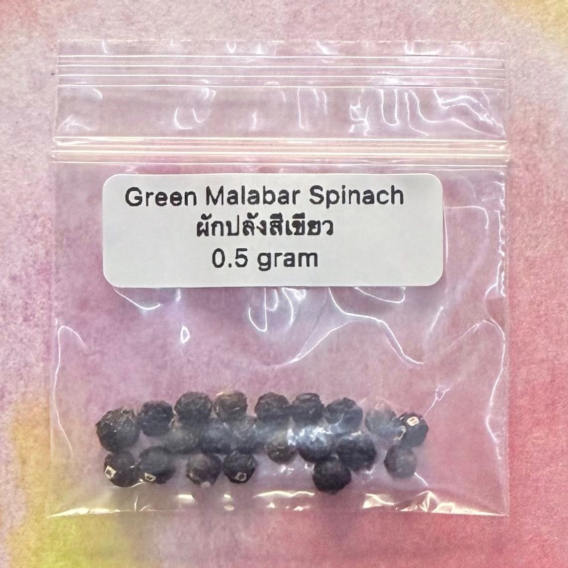 Green Malabar Spinach / ผักปลังเขียว