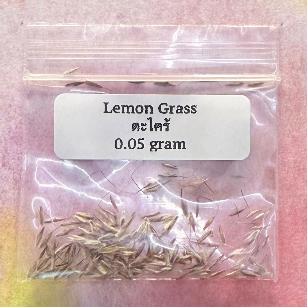 Lemon Grass / ตะไคร้