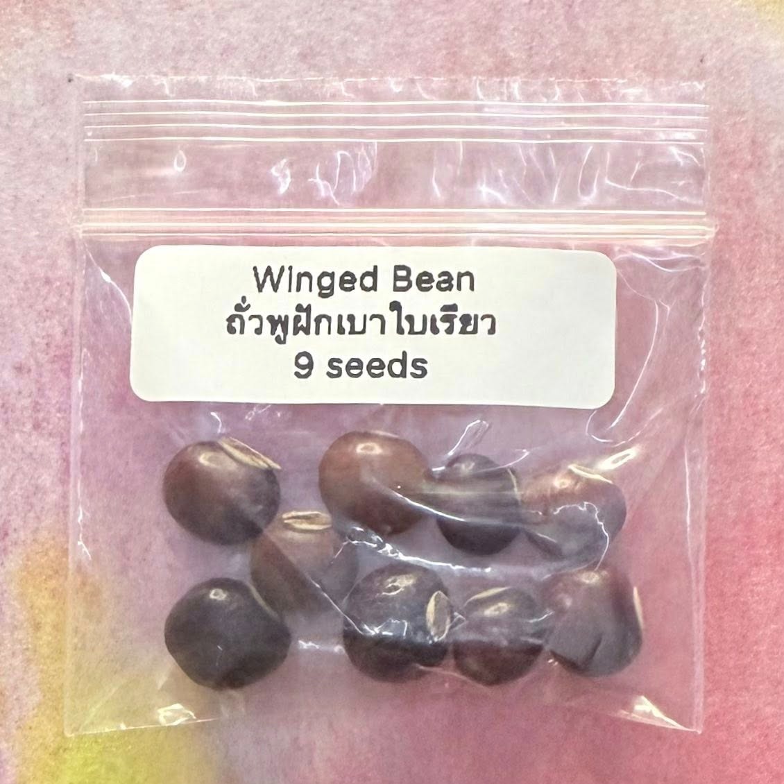 Purple Winged Bean / ถั่วพูสีม่วง