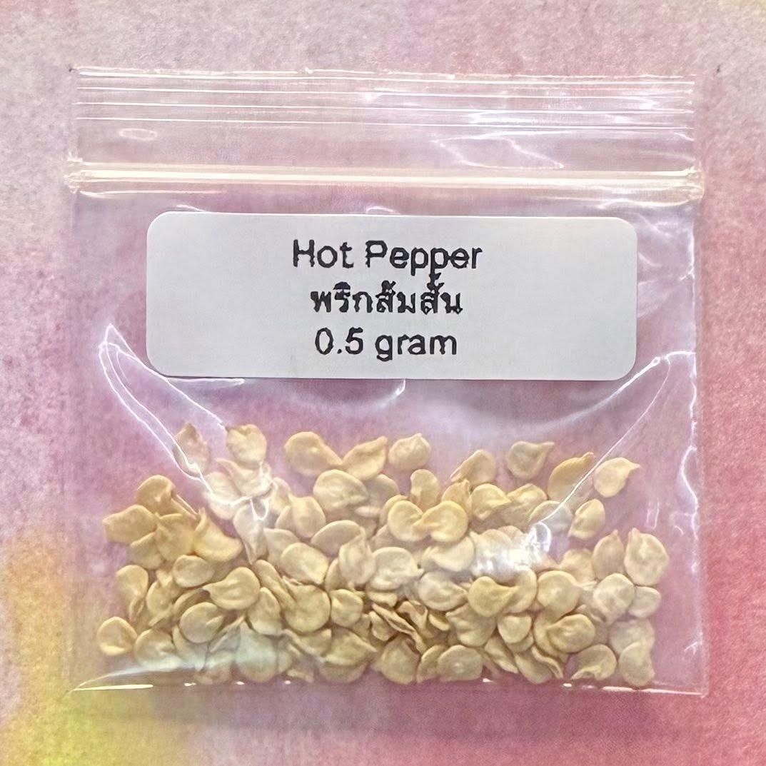 Black Peppercorn / พริกไทยดำ