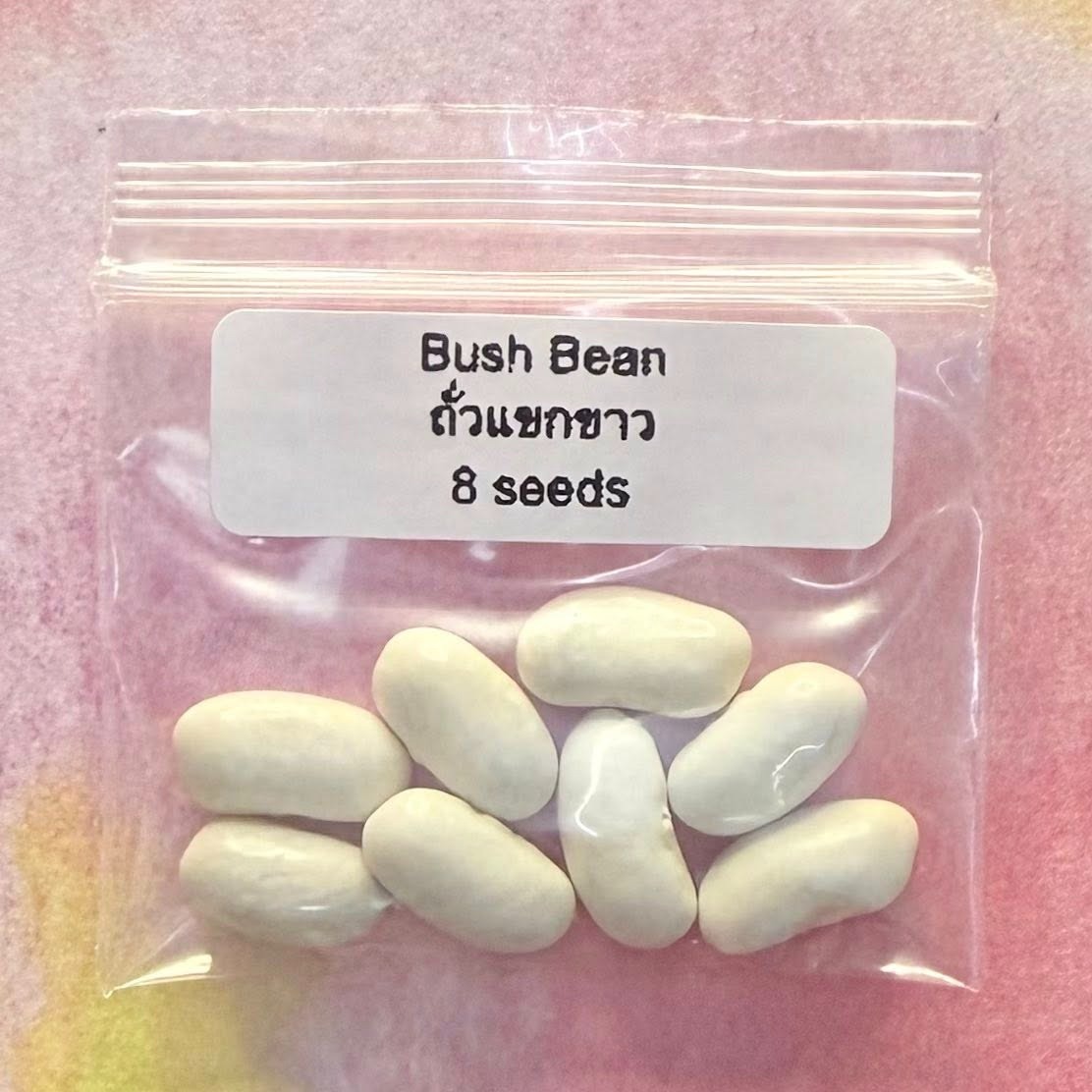 Purple Bush Bean / ถั่วพุ่มสีม่วง