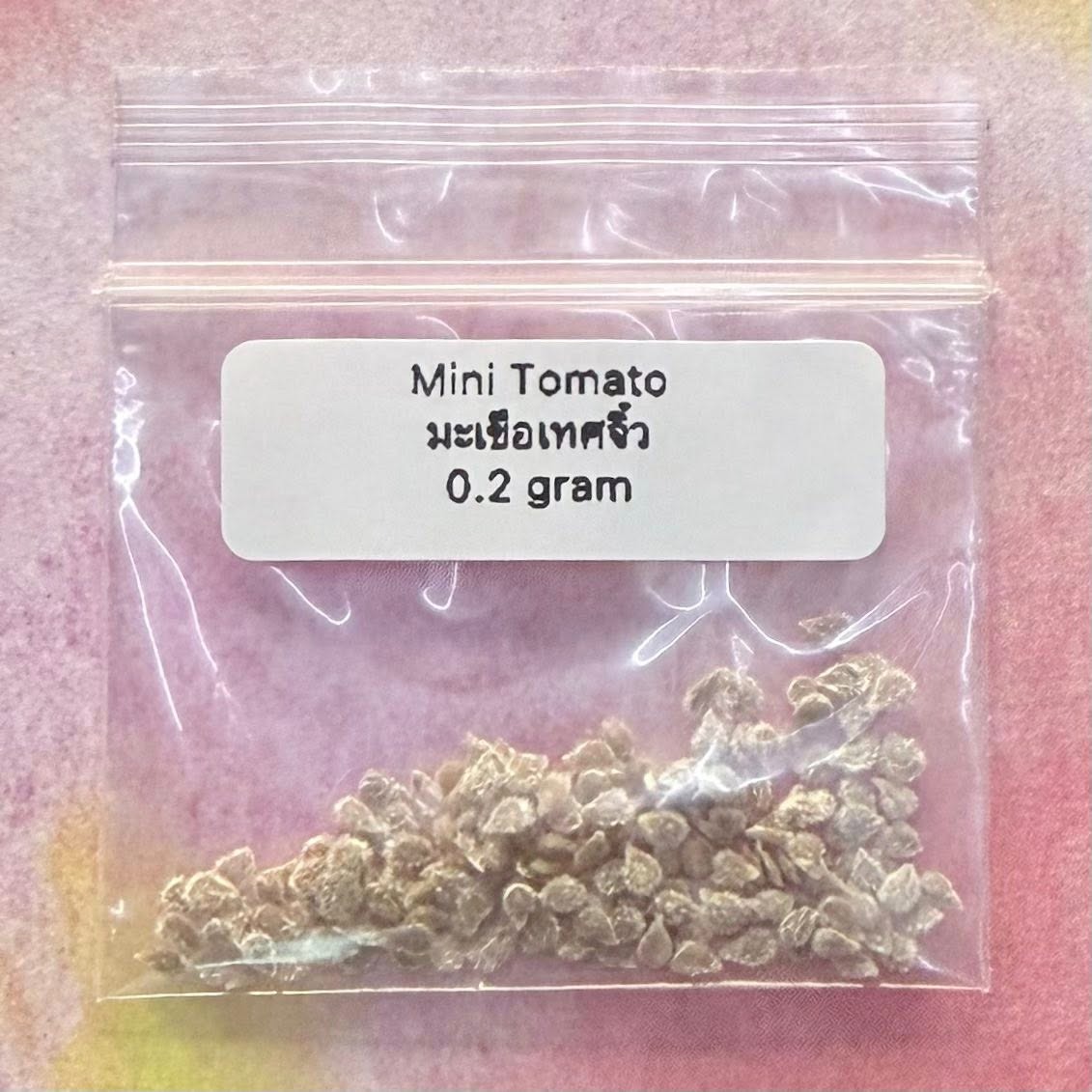 Mini Tomato / มะเขือเทศจิ๋ว