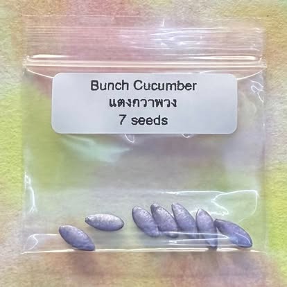 Bunch Cucumber / แตงกวาพวง