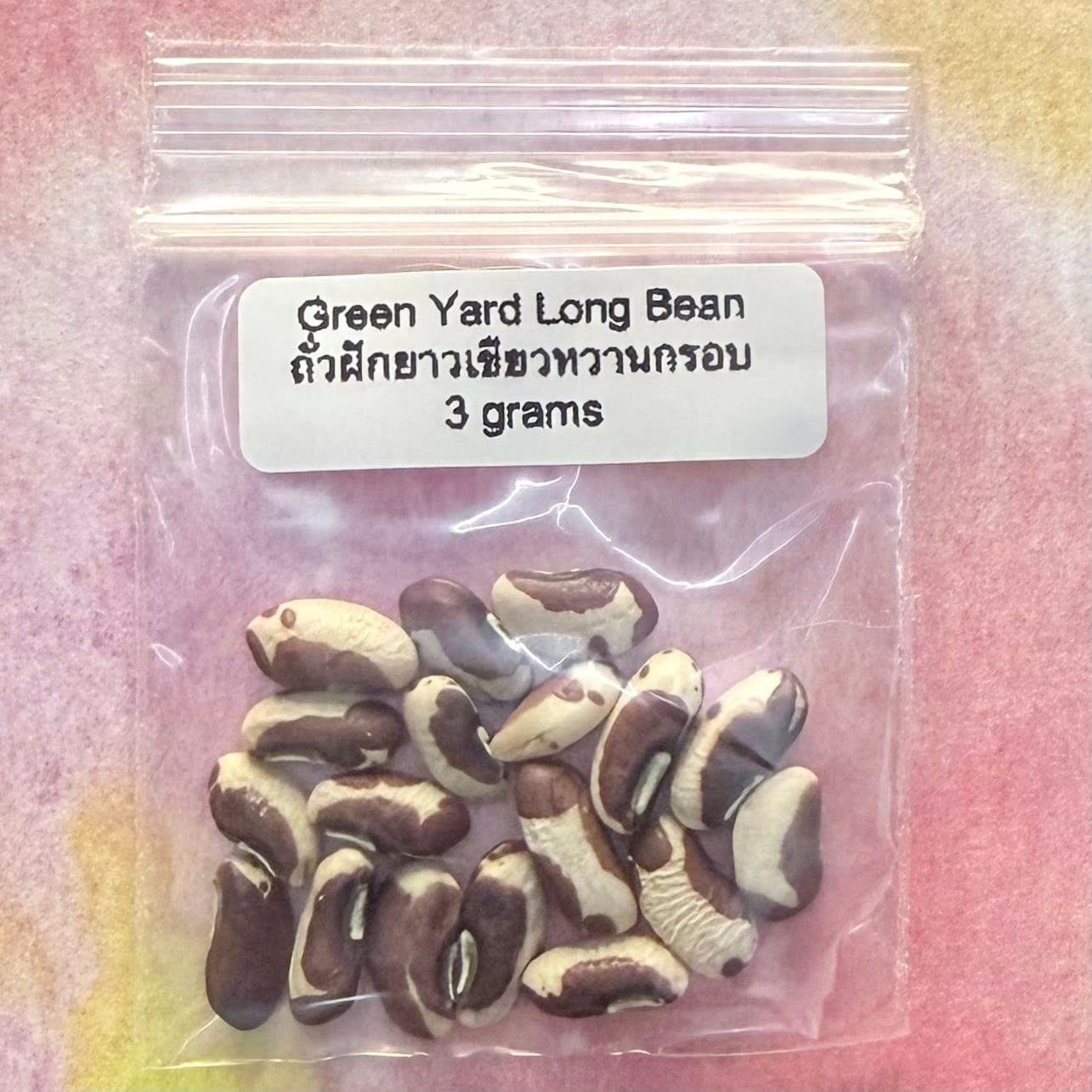 Green Long Bush Bean / ถั่วฝักยาวไร้ค้างสีเขียว