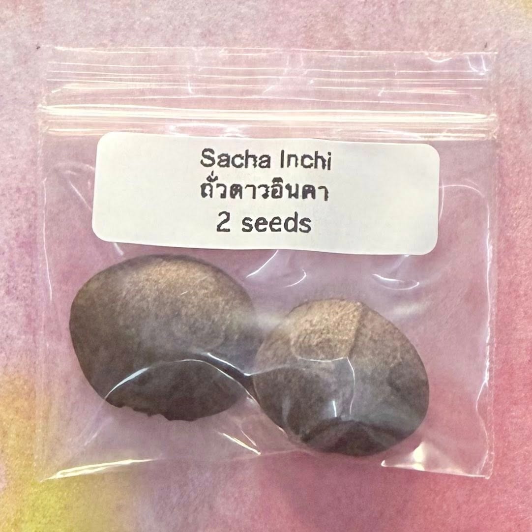 Sacha Inchi / ถั่วดาวอินคา