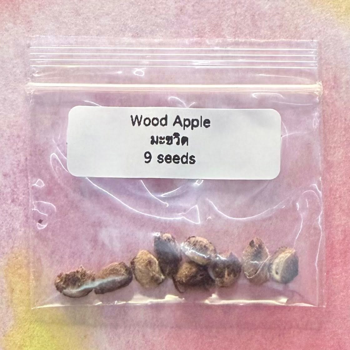 Wood Apple / มะขวิด
