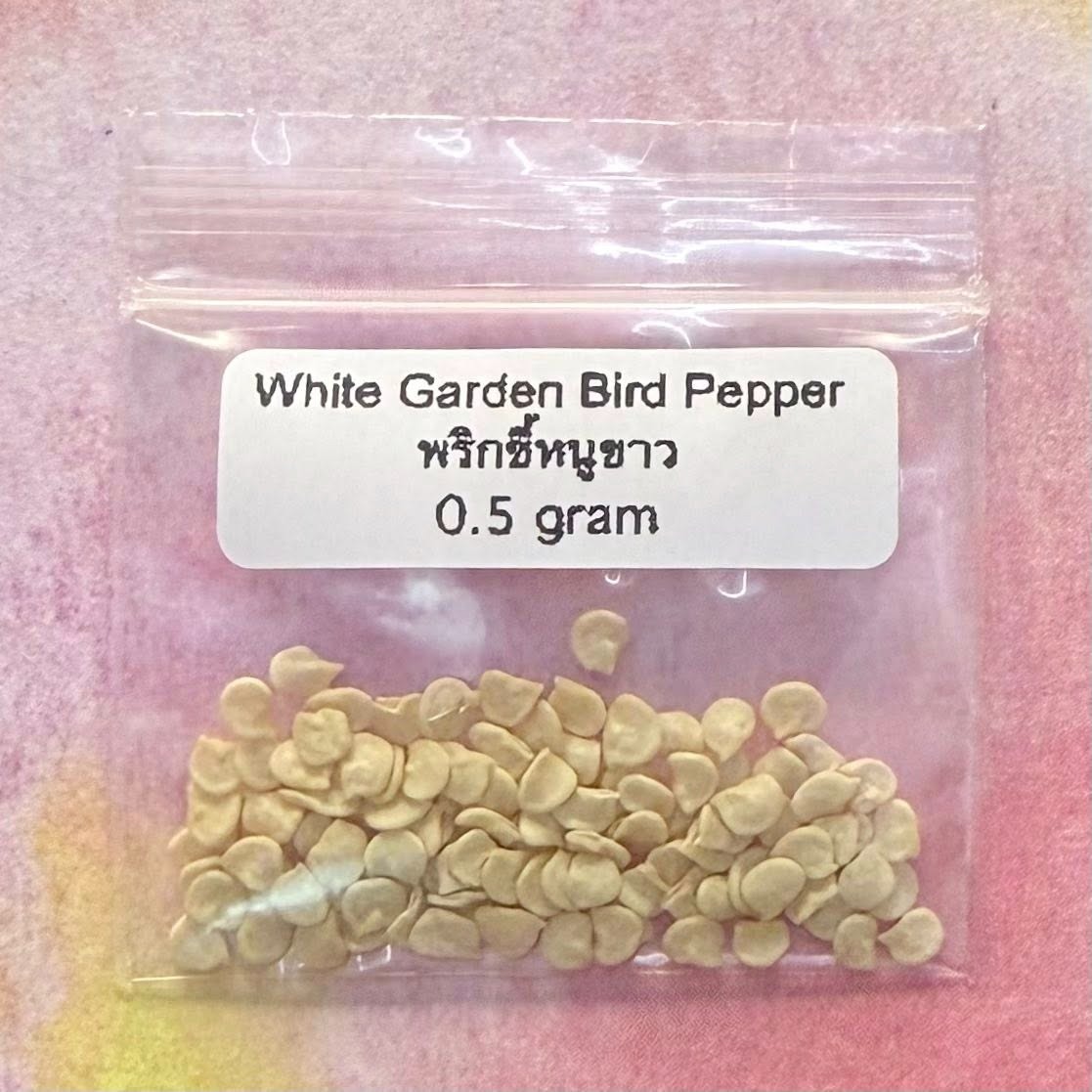 White Garden Bird Pepper / พริกขี้หนูขาว