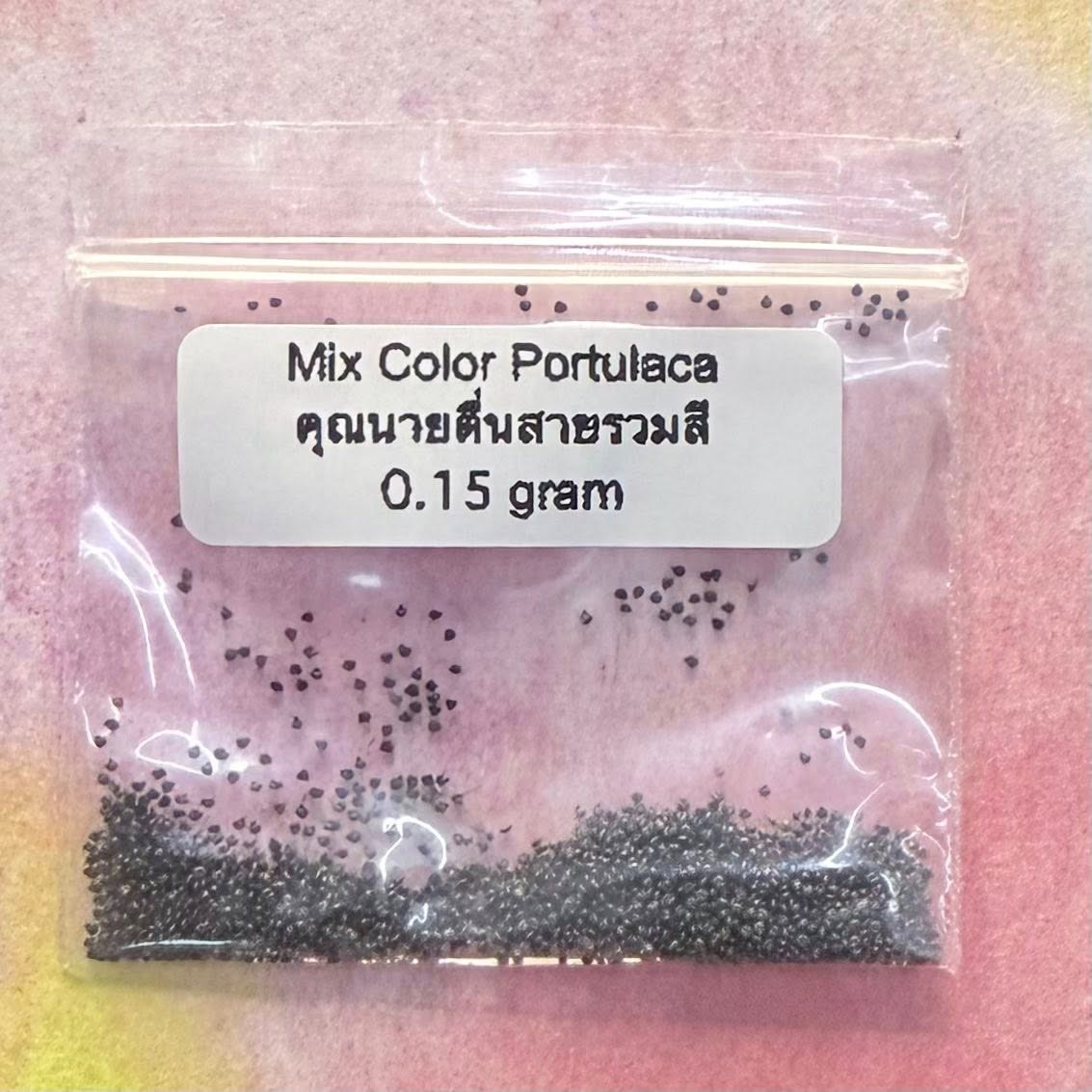 Mix Color Portulaca / คุณนายตื่นสายรวมสี