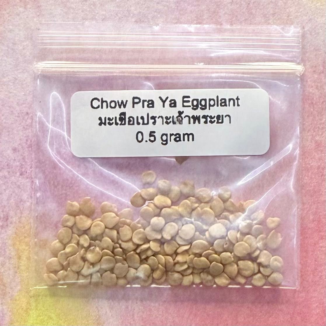 Chow Pra Ya Eggplant / มะเขือเปราะเจ้าพระยา