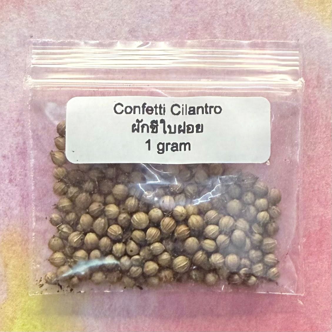 Confetti Cilantro / ผักชีใบฝอย