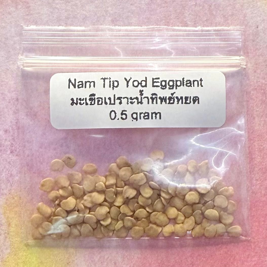 Nam Tip Yod Eggplant / มะเขือเปราะน้ำทิพย์หยด