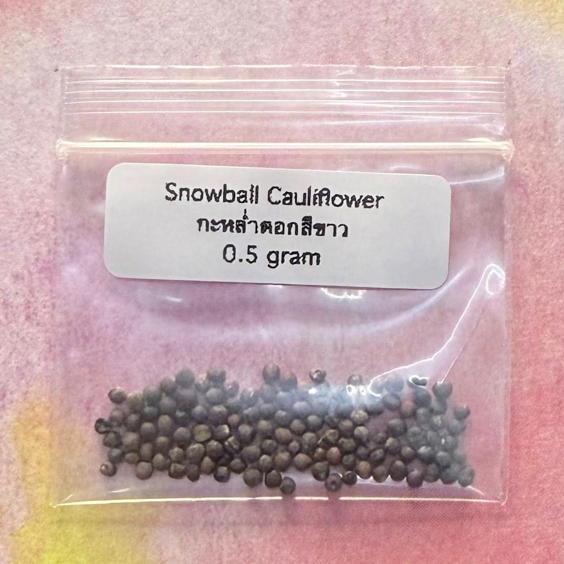 Snowball Cauliflower / กะหล่ำดอกสีขาว