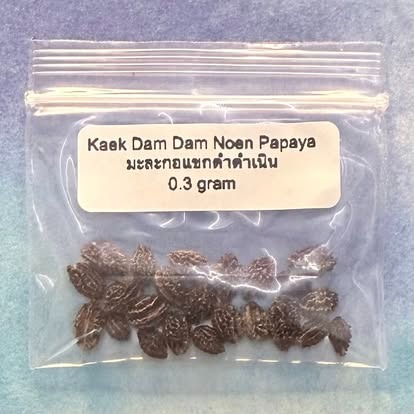 Kaek Dam Dam Noen Papaya / มะละกอแขกดำดำเนิน
