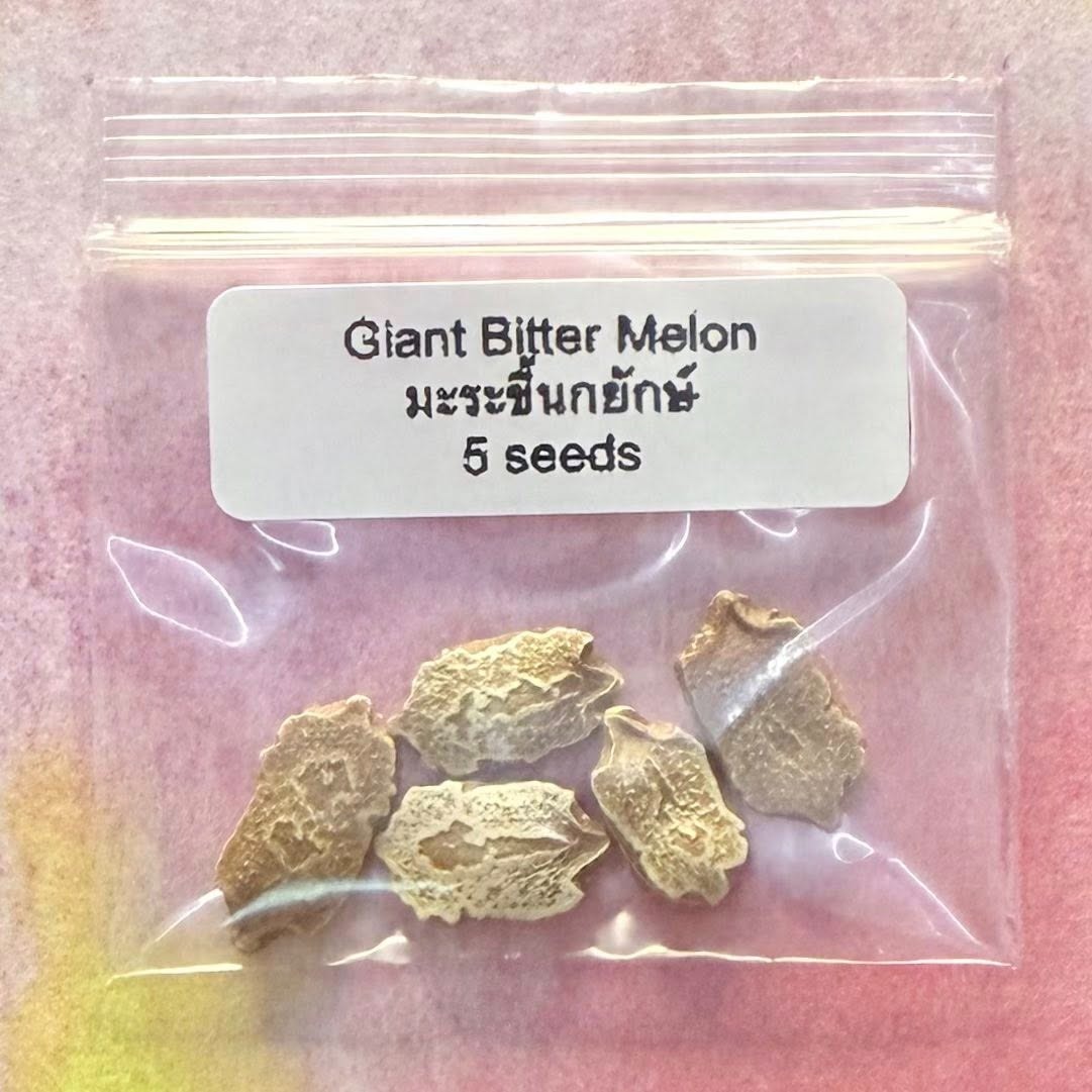 Giant Bitter Melon / มะระขี้นกยักษ์