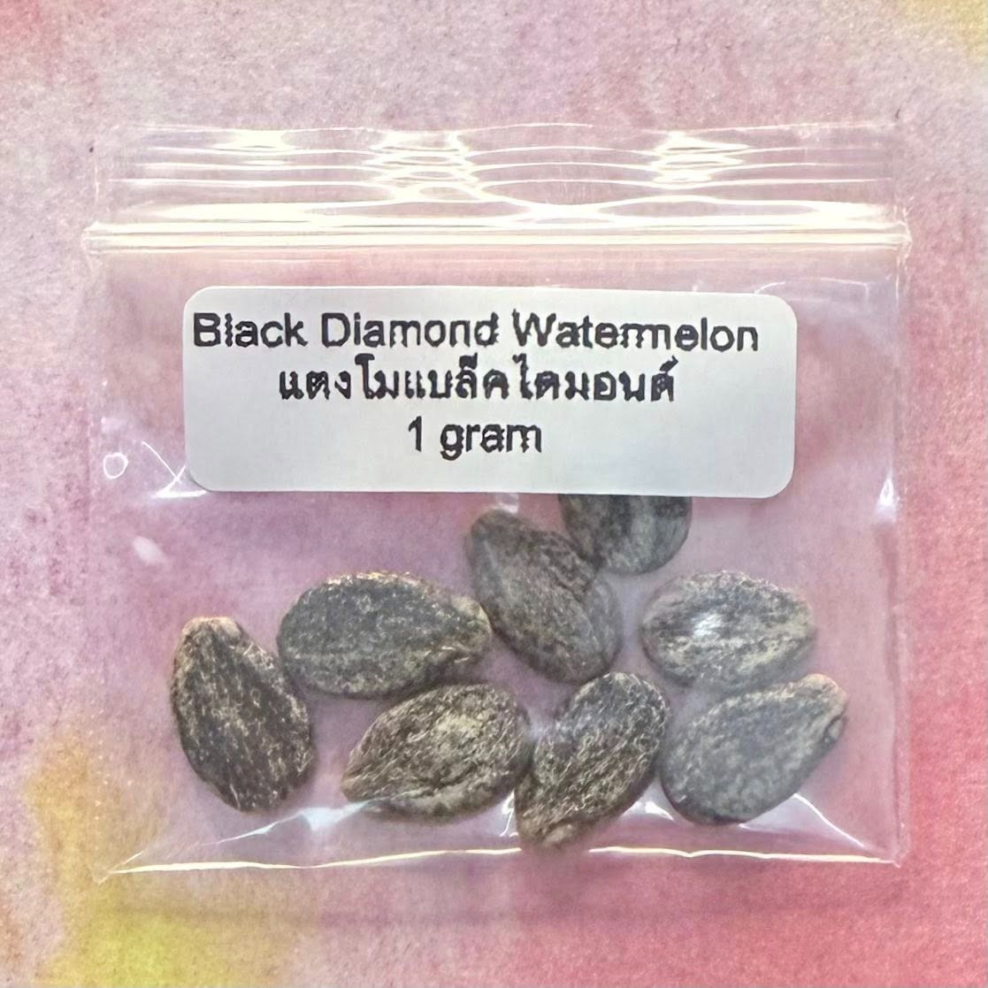 Black Diamond Watermelon / แตงโมแบลคไดมอนด์