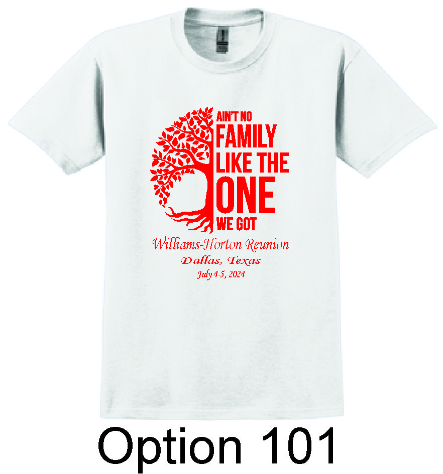 Option 101