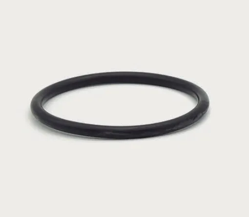 Protec O-ring F/C port 3" (MSP 300-450)