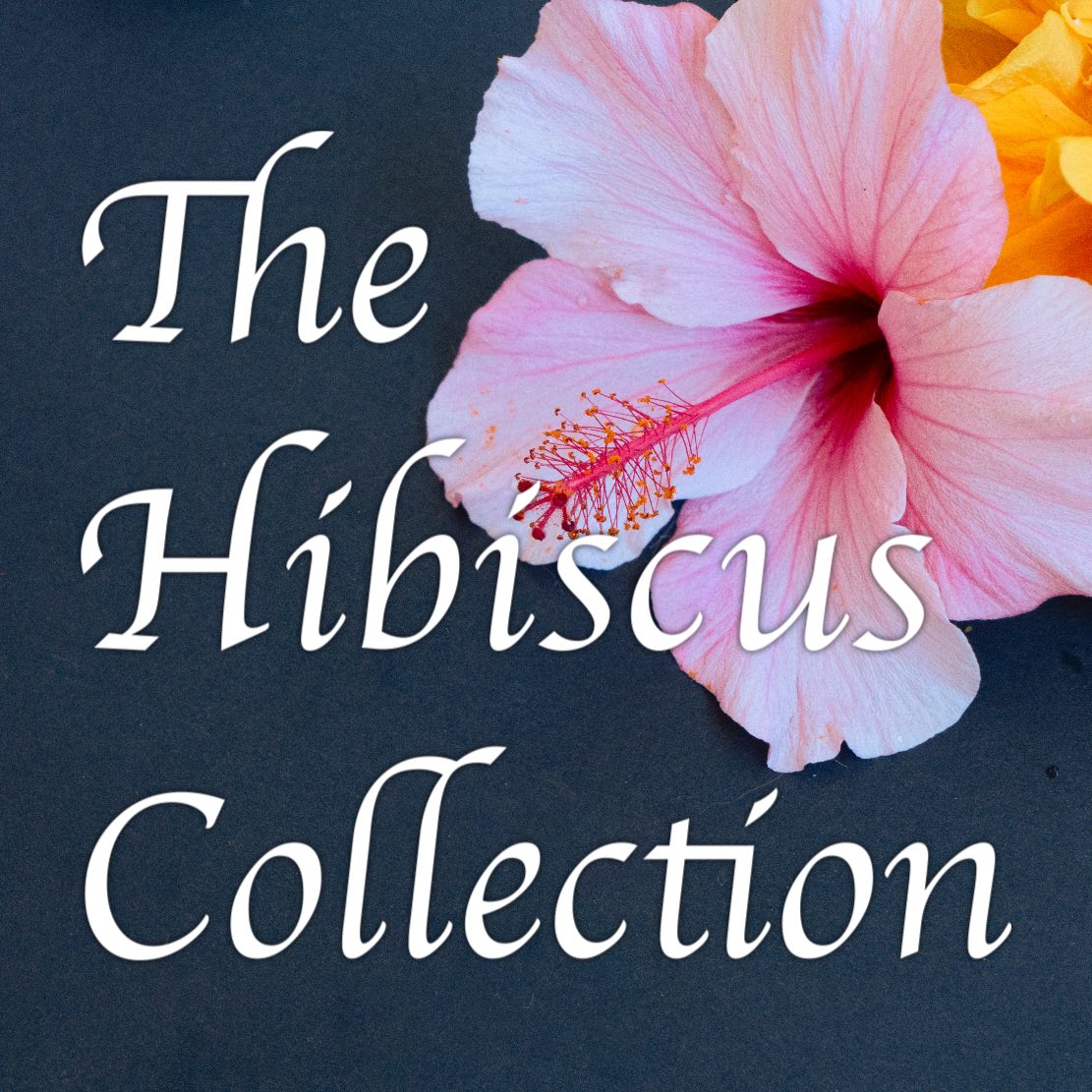 collection-image