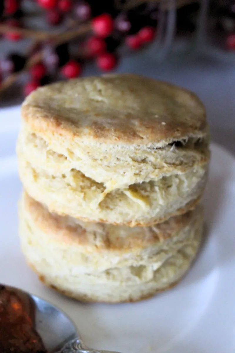 Two Biscuits