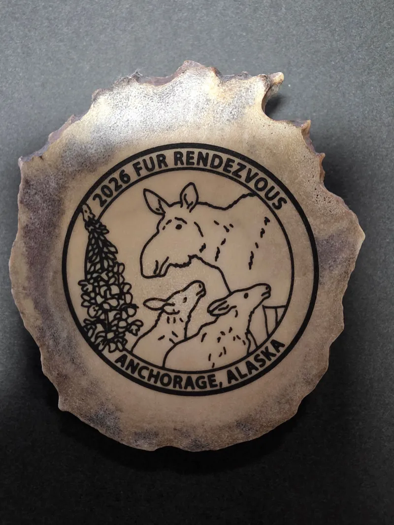 2026 Collector Moose Antler Pin