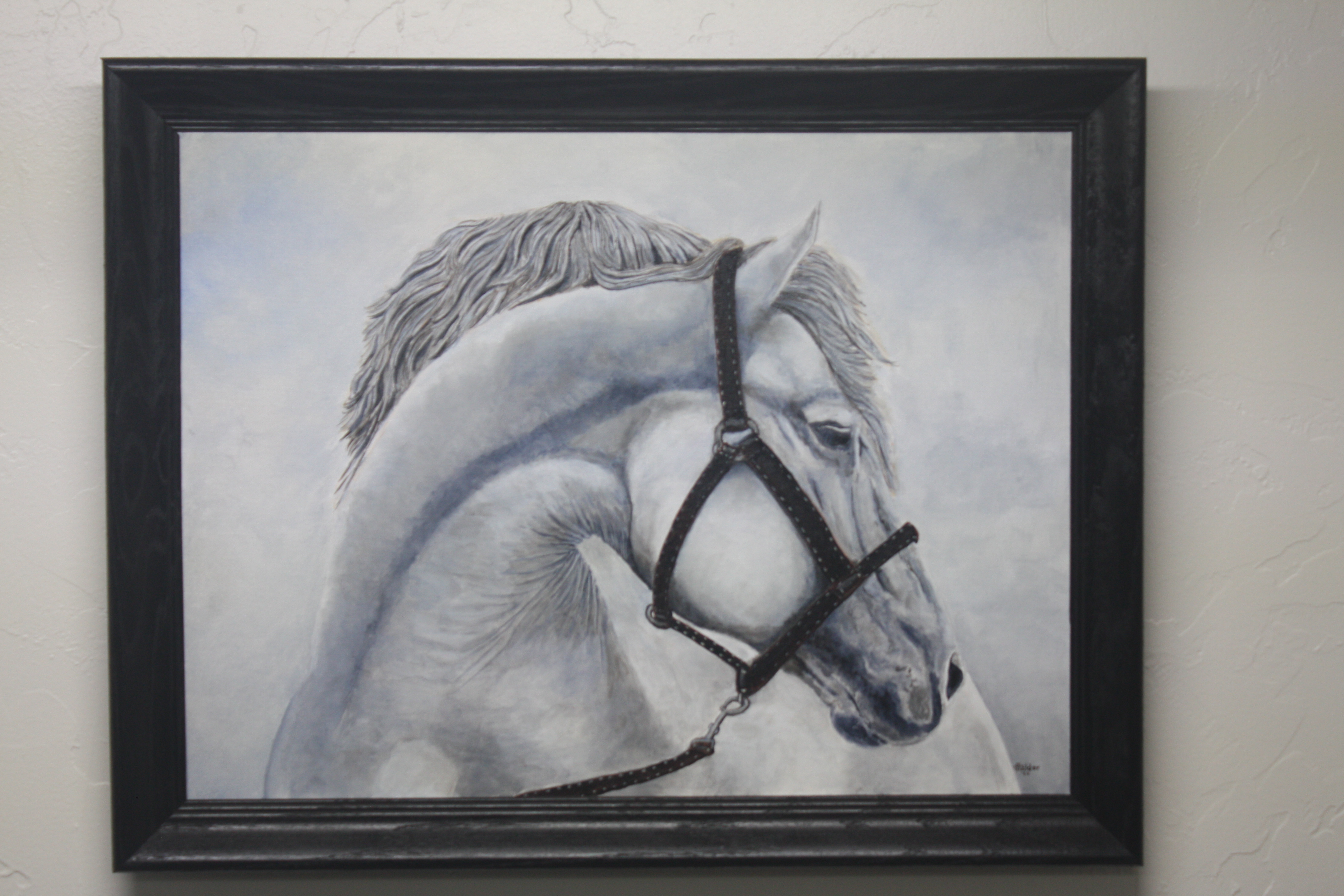 Framed White Horse Portrait Artwork Juan Baldor