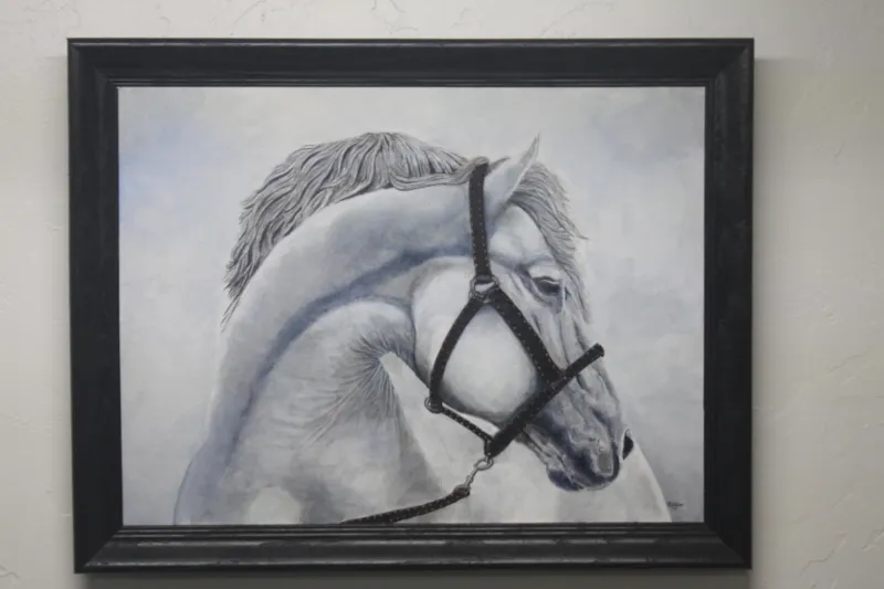 Framed White Horse Portrait Wall Art Local Artist Juan Baldor