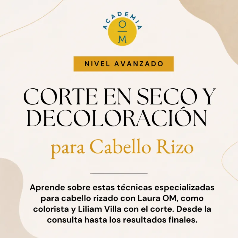 Corte en Seco y Decoloración para Cabello Rizo