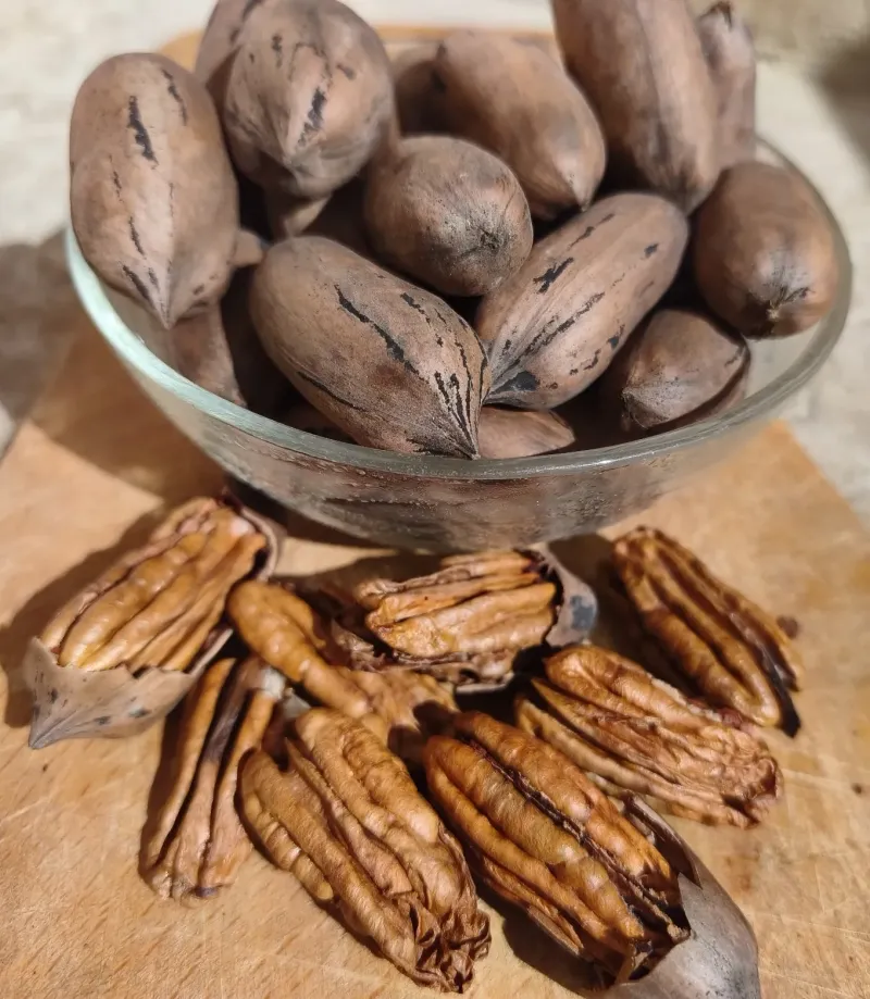 Noix de Pécan — 1 kg