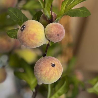 35" Real Touch Flocked Fig Stem | Fall Greenery & Floral Decor
