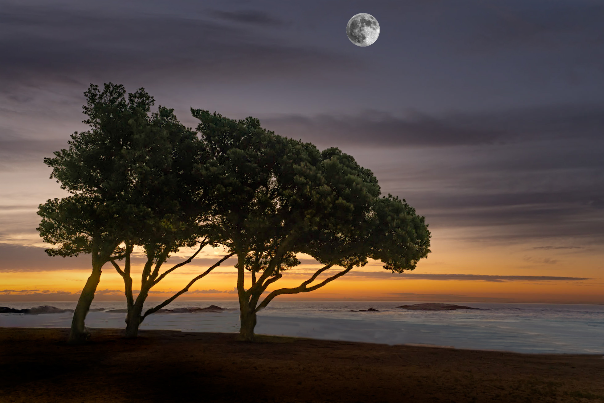 Pacific Sunset