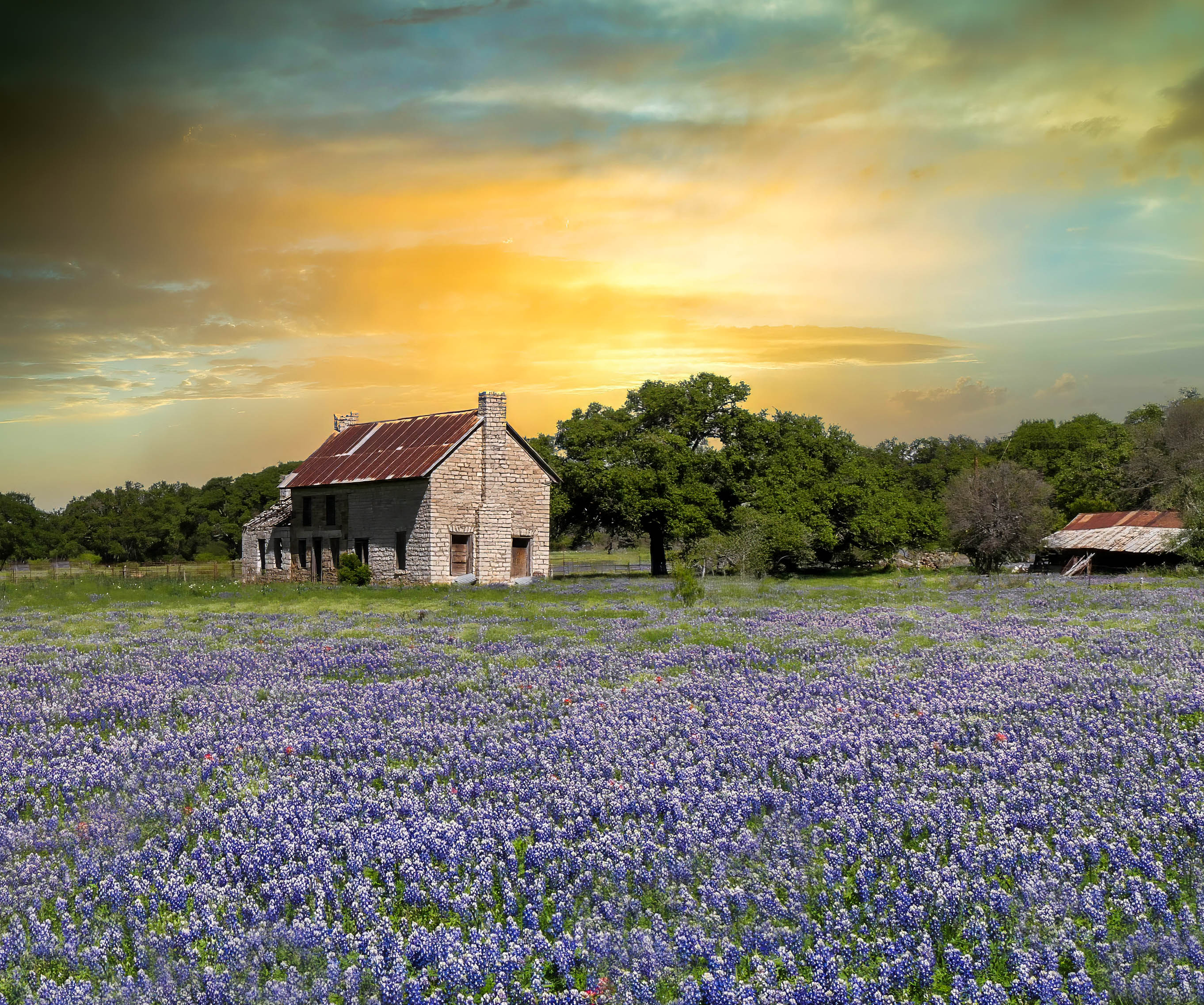Bluebonnet Barn