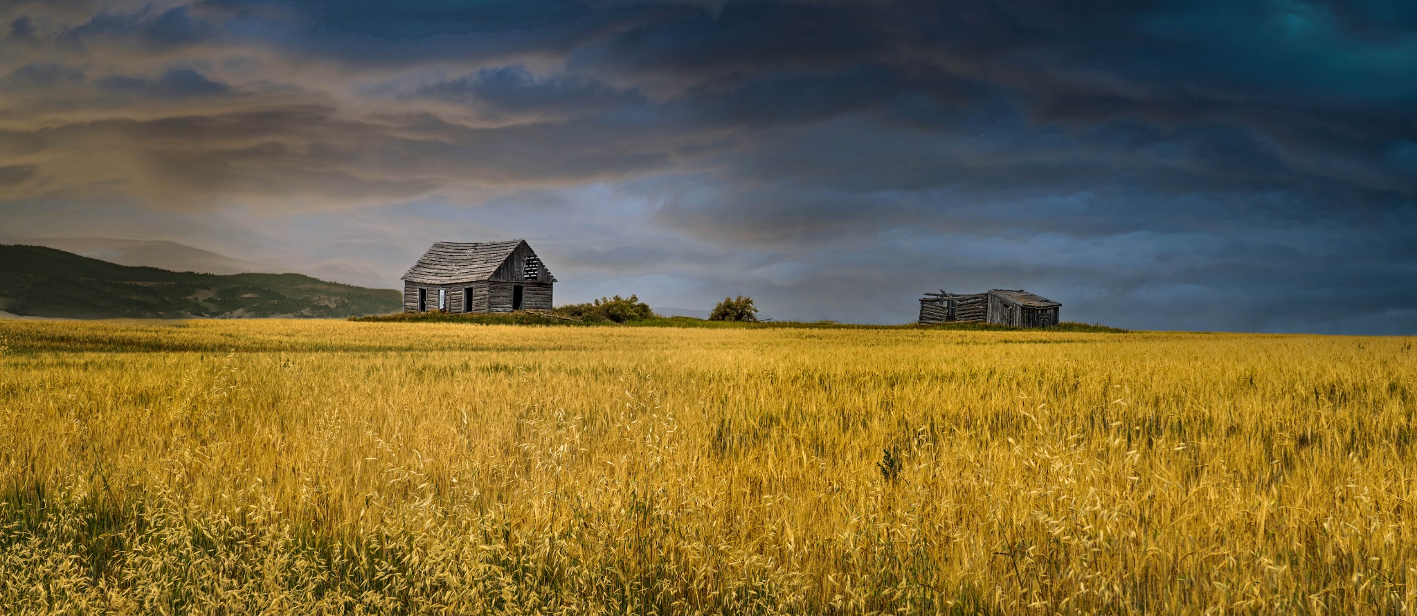 Prairie Testament