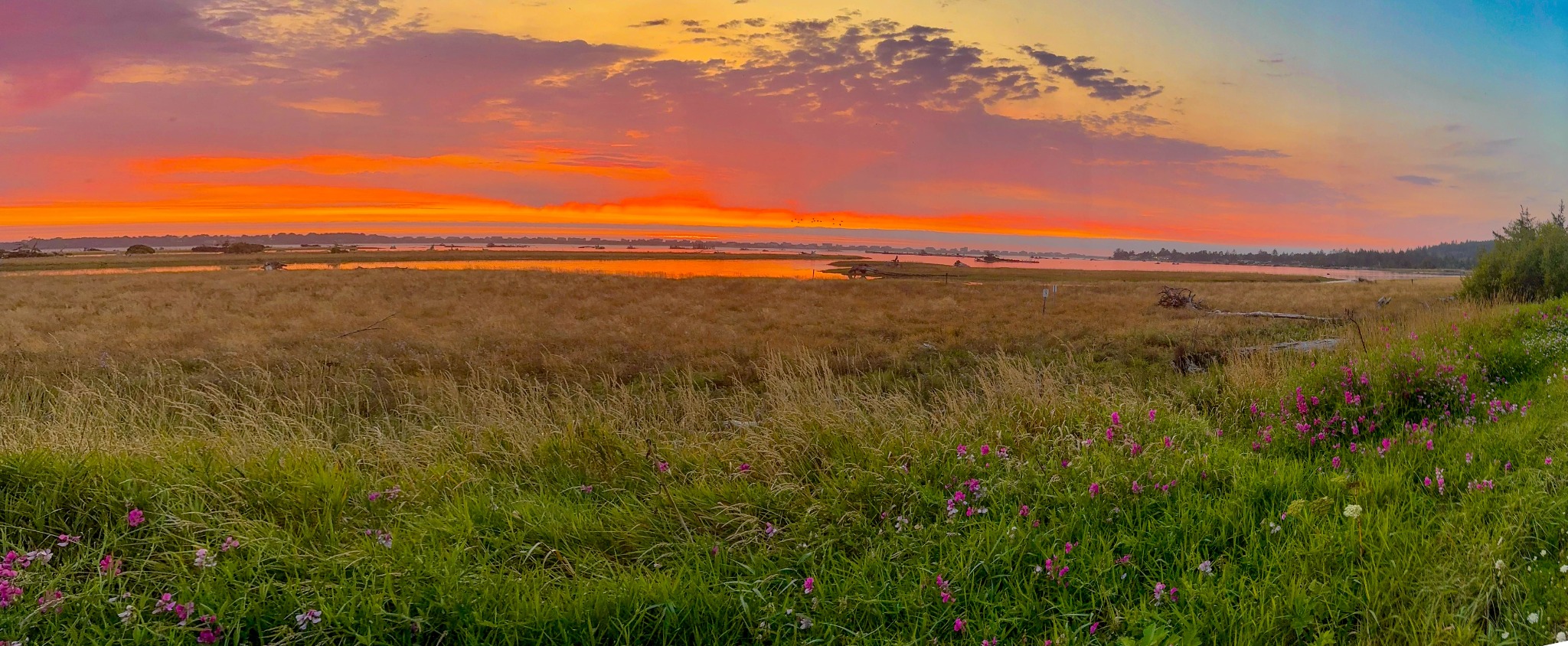 Where the Day Ends Gently