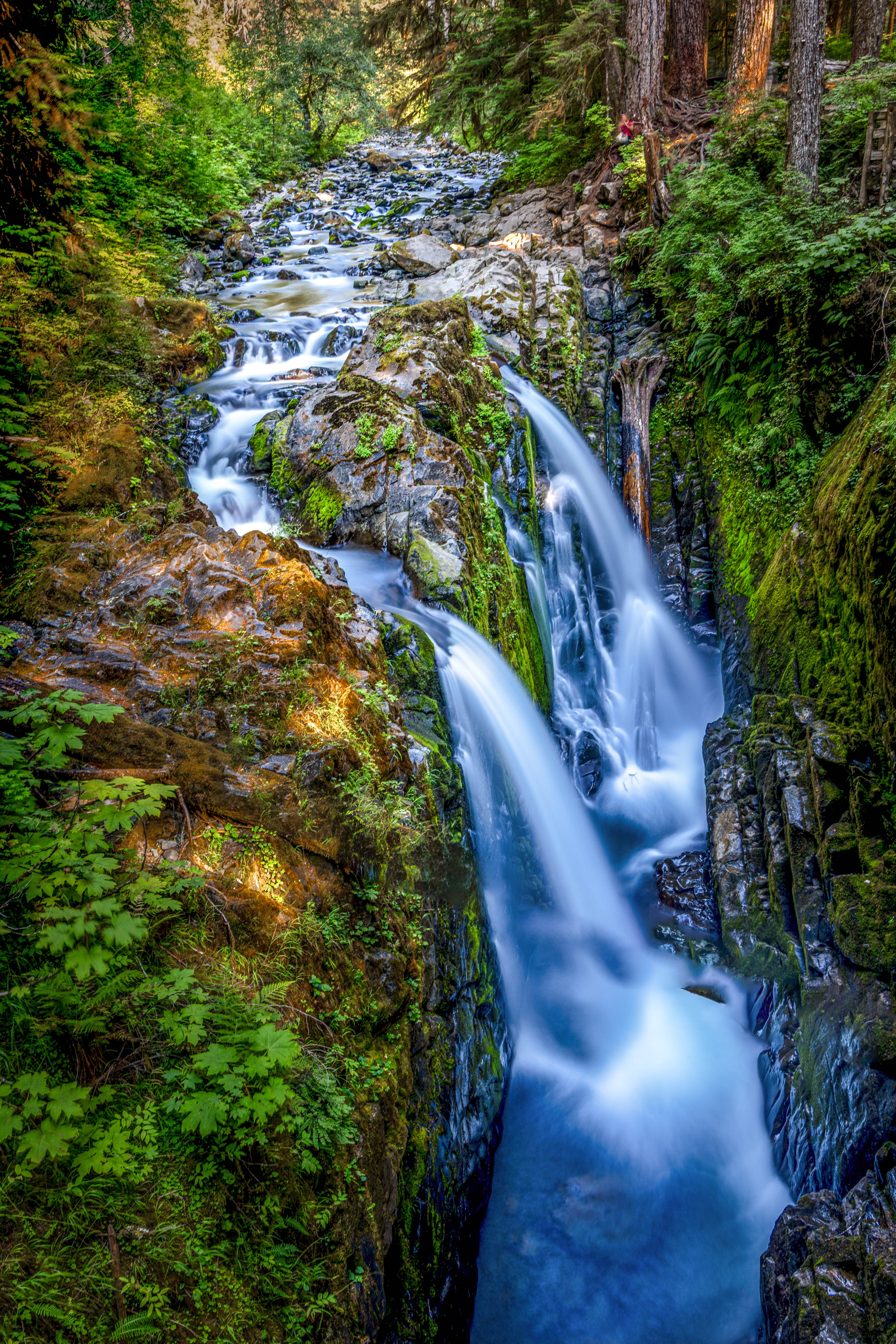 Into the Stillness