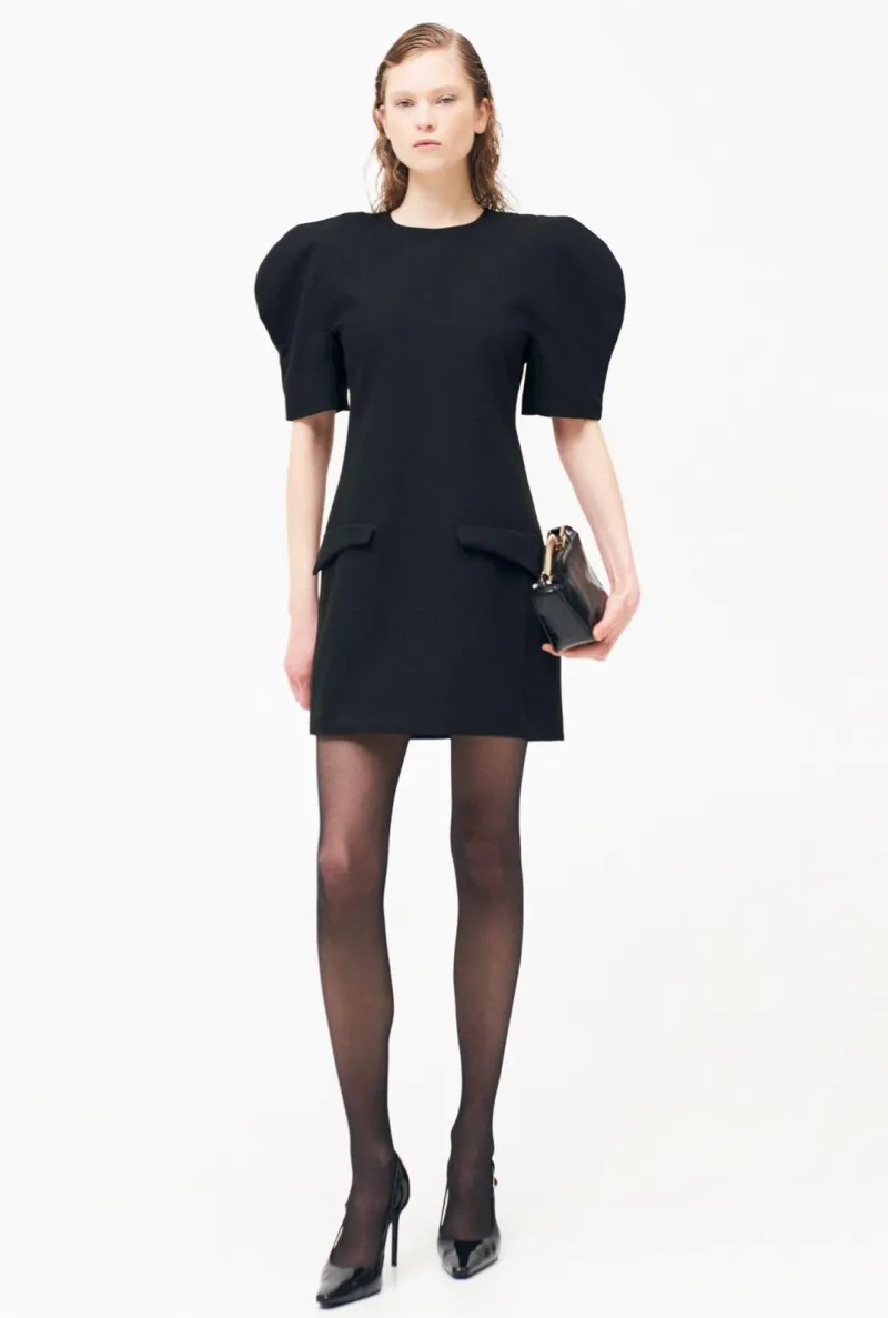CHIC MINI DRESS WITH STATEMENT SLEEVES AND  A MINIMALIST EDGE 