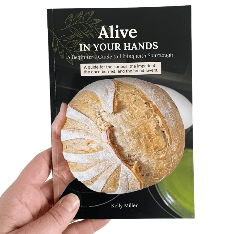 Sourdough Basics Booklet