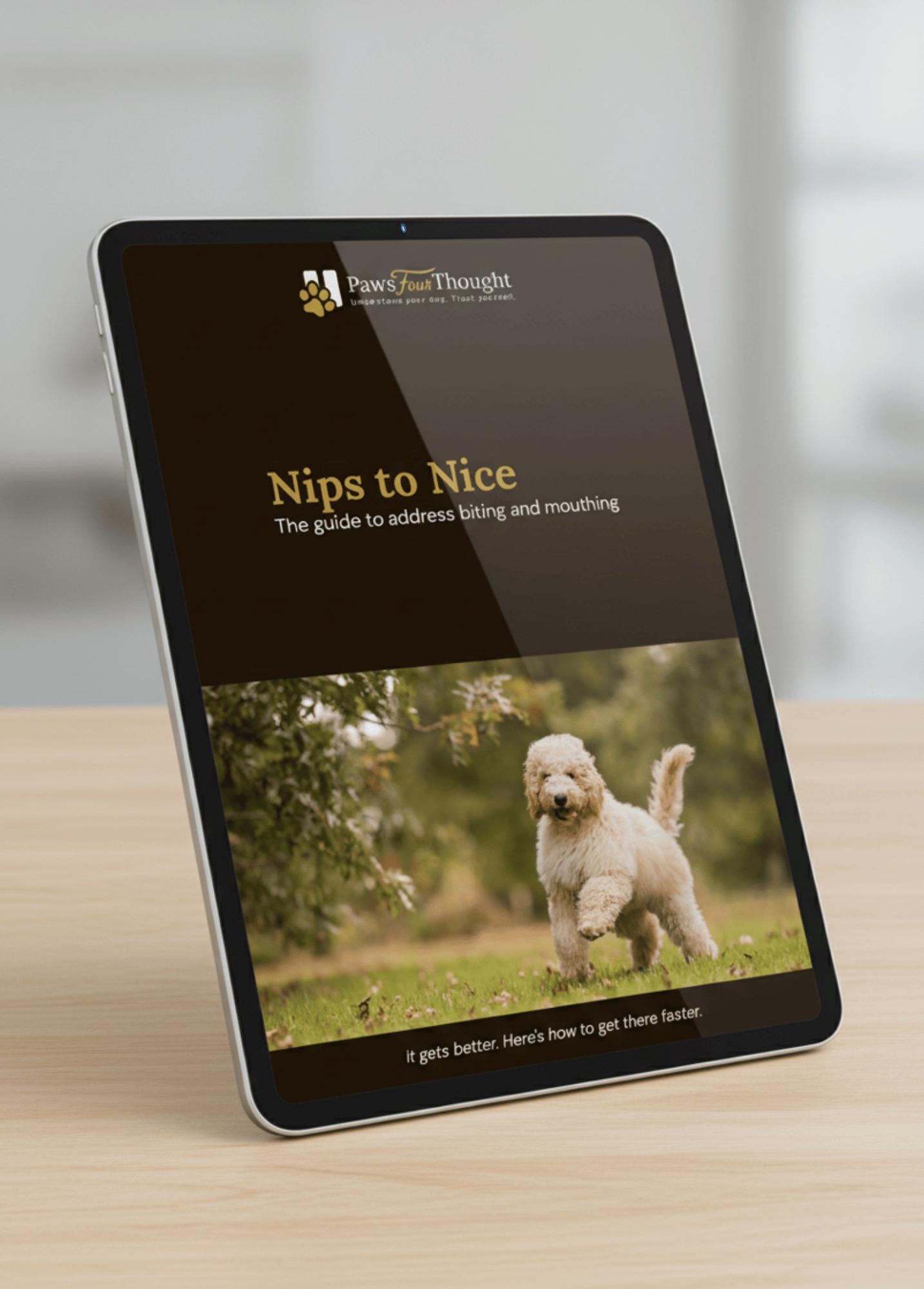 Nips to Nice: Bite Inhibition Training for Your New Puppy
