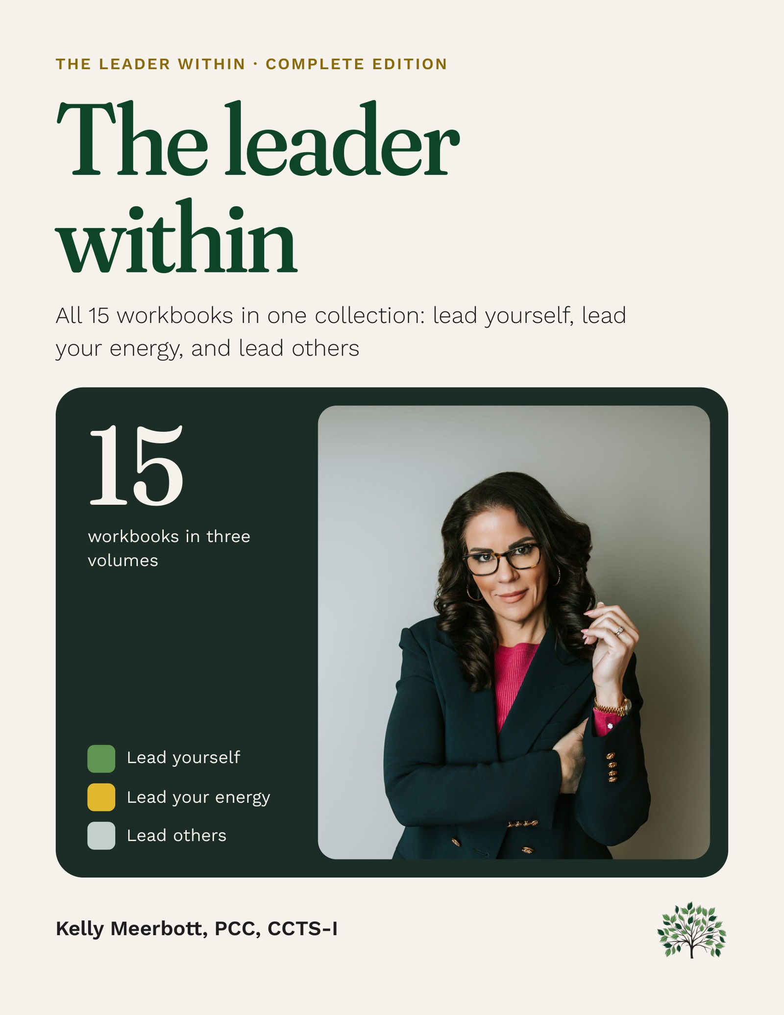 The Leader Within: the complete set of 15 leadership workbooks