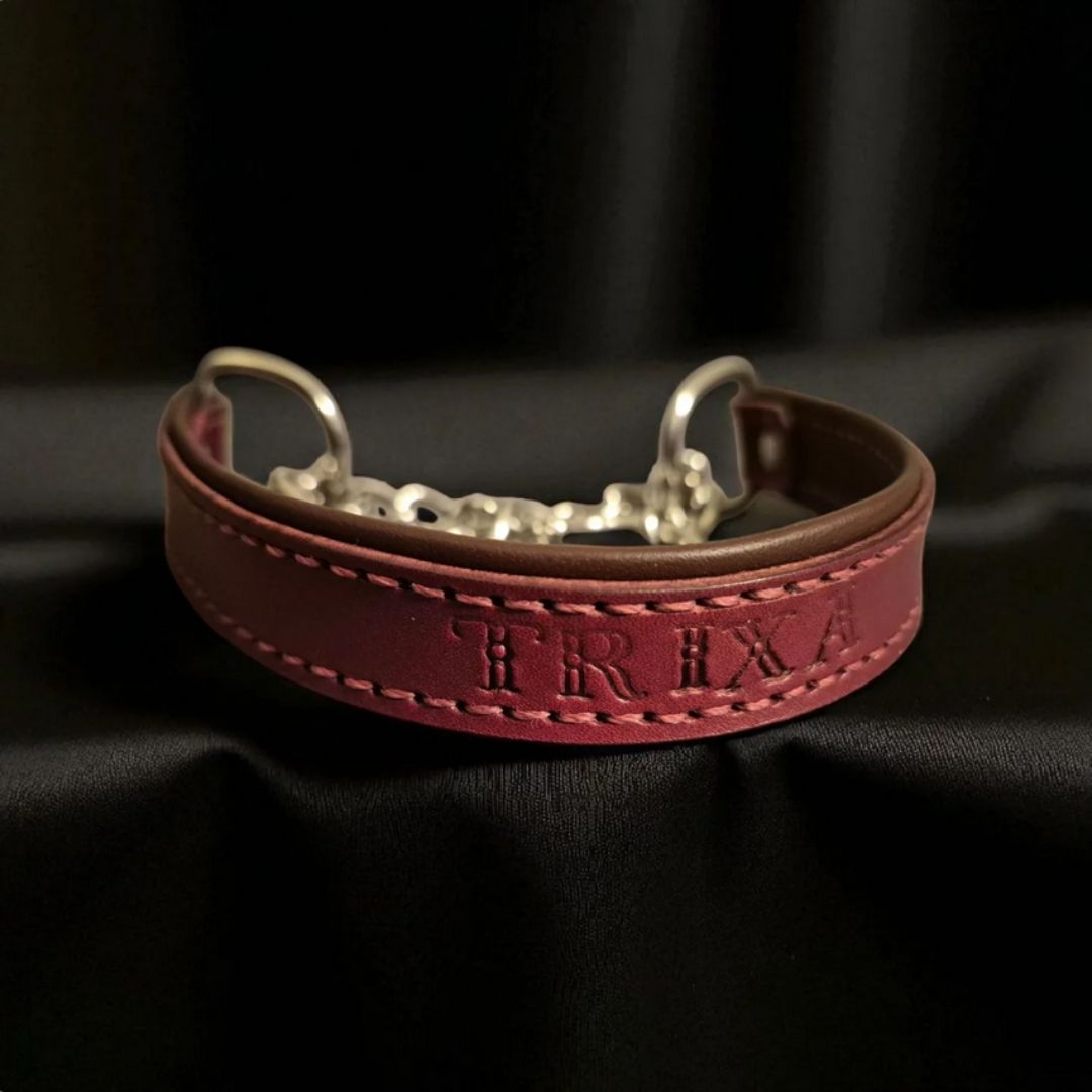 Halsband till hund