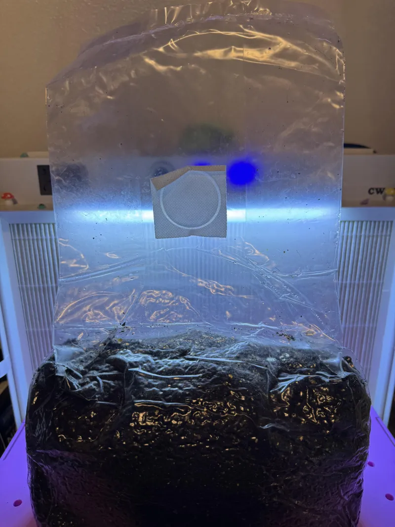 Substrate Bag 5 lb