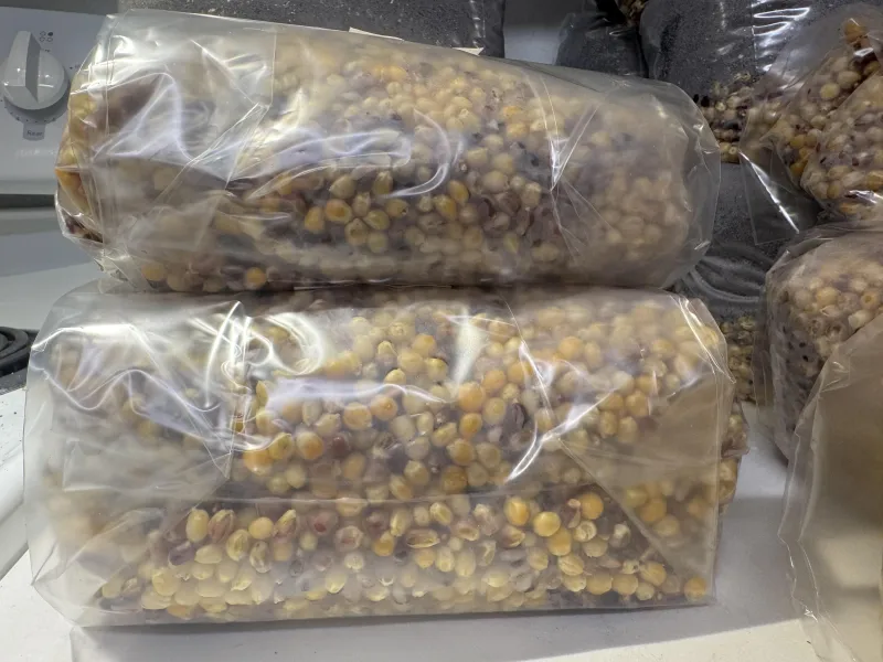 Grain Bag 5 lb