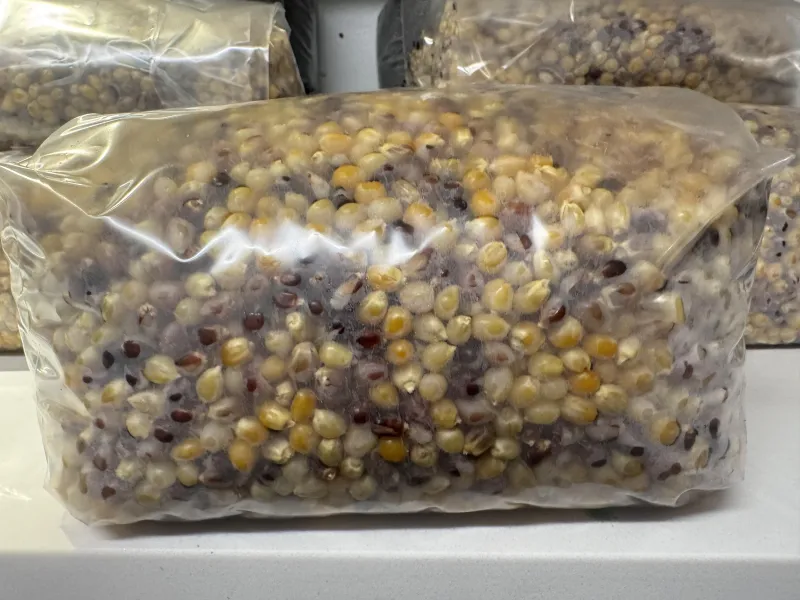 Grain Bag 3 lb