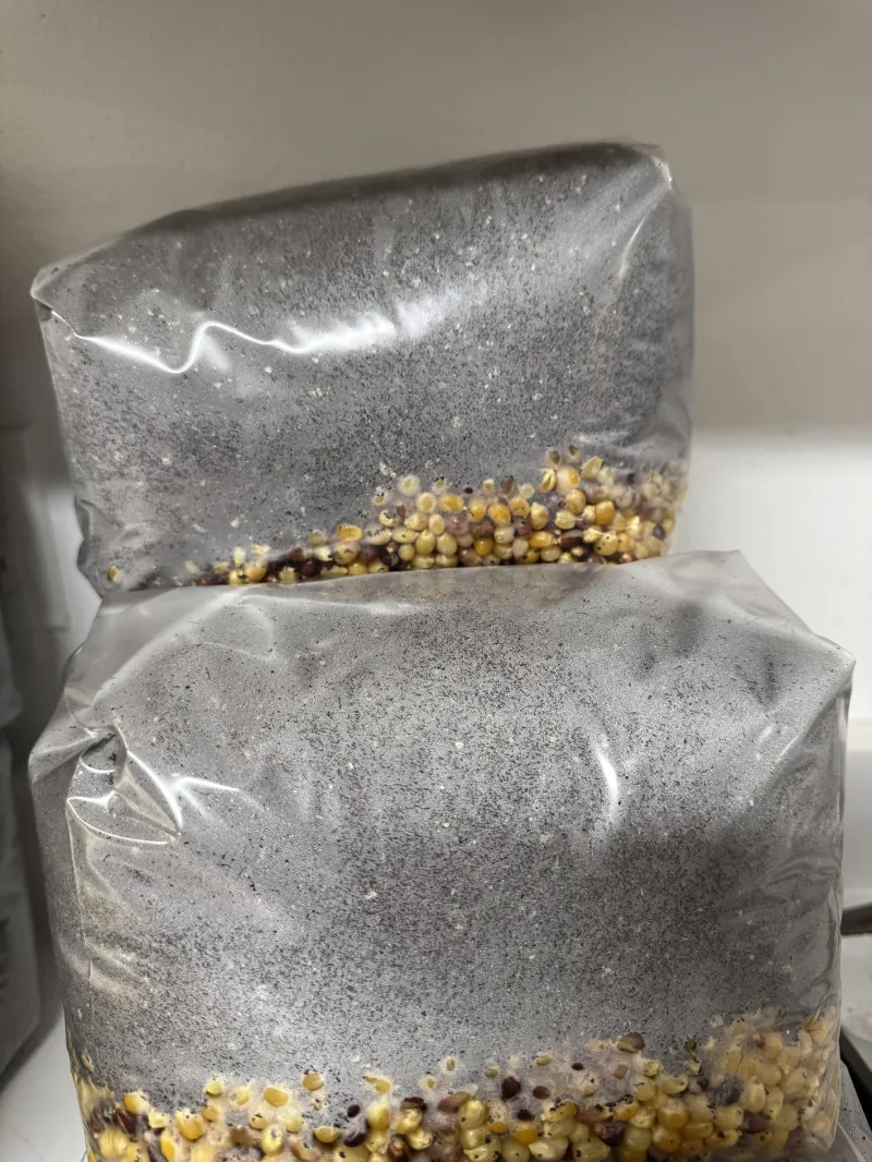 All-in-1 Bag 3 lb