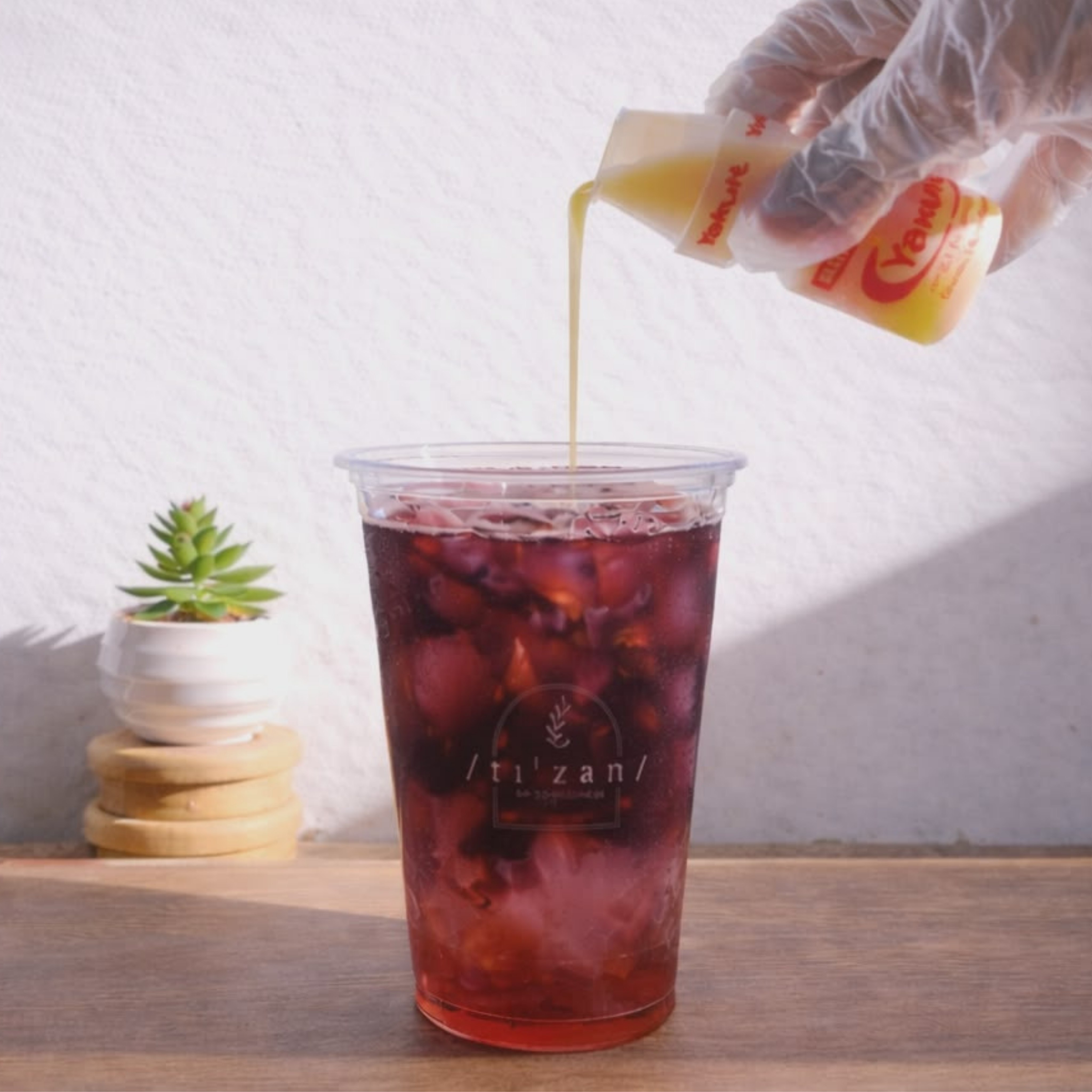 Hibiscus Yakult
