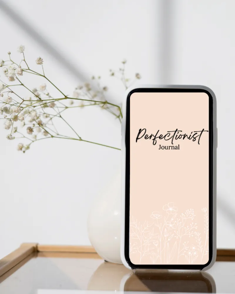 Perfectionist Journal