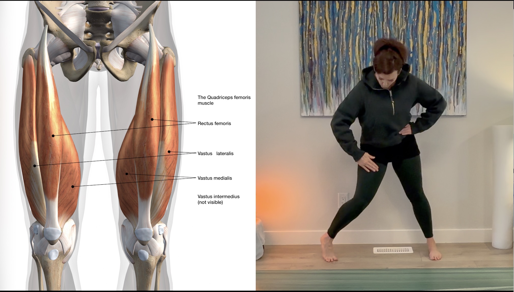 Module #2: Quadriceps